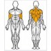 Т-тяга с упором на ноги V-SPORT Х215 Т-тяга с упором на ноги V-SPORT Х215