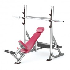 Олимпийская наклонная скамья Panatta OLYMPIC INCLINED BENCH 1FE205 Олимпийская наклонная скамья Panatta OLYMPIC INCLINED BENCH 1FE205