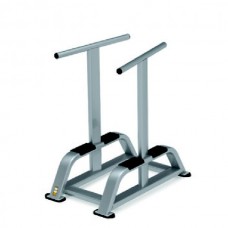 Nautilus 9NP-B7518 Dip Station Nautilus 9NP-B7518 Dip Station