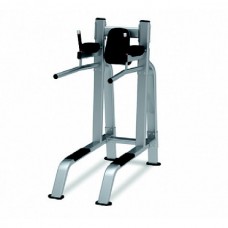 Nautilus 9NP-B7517 Leg Raise/Dip Nautilus 9NP-B7517 Leg Raise/Dip