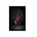 Набор для CROSSFIT Adidas Арт. ADAC-12250 Набор для CROSSFIT Adidas Арт. ADAC-12250