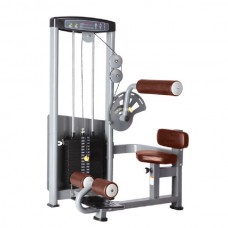 Пресс-машина BRONZE GYM D-010 Пресс-машина BRONZE GYM D-010