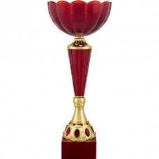 8642 Кубок Лика 8642 Кубок Лика