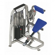 FS-305 НИЖНИЕ МЫШЦЫ СПИНЫ FS-305 НИЖНИЕ МЫШЦЫ СПИНЫ