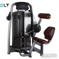 GLT 719 Разгибание спины GLT 719 Разгибание спины